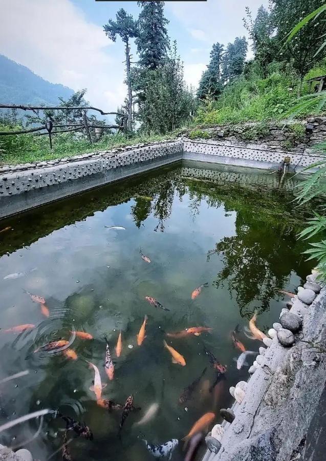 Parvatis Lap Luxury Hostel & Camps Kasol Exterior photo